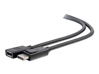 C2G 3ft DisplayPort Extension Cable - DisplayPort 1.4 - 8K UHD - M/F - DisplayPort-forlengelseskabel - DisplayPort (hann) til DisplayPort (hunn) - DisplayPort 1.4 - 91.4 cm - 8K-støtte 54450