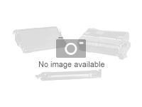 Xerox Phaser 7800 - Sugefilter - for Phaser 7800 108R01037