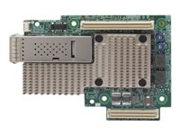 Broadcom BCM957504-M1100G16 - Nettverksadapter - OCP - 100 Gigabit Ethernet x 1 BCM957504-M1100G16