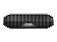 SanDisk - Harddisk - Enterprise - 4 TB - ekstern (stasjonær) - USB 3.2 Gen 2 (USB-C kontakt) - 7200 rpm SDPHF1A-004T-MBAAD