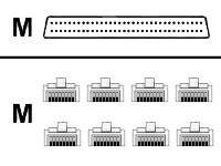 Cisco - Ruterkabel (DTE) - HD-68 (hann) til RJ-45 (hann) - for P/N: NM-16A, NM-16A=, NM-16A-RF, NM-32A=, NM-32A-RF CAB-OCTAL-ASYNC=