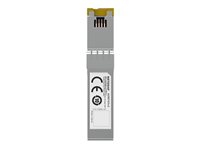 NETGEAR AXM765v2 - SFP+ transceivermodul - 10GbE - 10GBase-T - RJ-45 - opp til 80 m AXM765-20000S