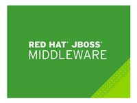 JBoss BPM Suite with Management - Standardabonnement (1 år) - 64 kjerner MW2484866