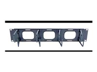 APC - Kabelordner - svart - 2U - for NetShelter EP; NetShelter ES; NetShelter SX; Netshelter VS; Netshelter VX; NetShelter WX AR8428