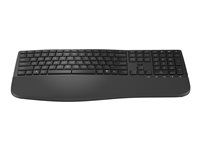 HP 685 - Tastatur - dual modus, 3-sone layout, flere enheter, 23 programmerbare taster, OS automatisk deteksjon, lav profil tastereeise - 100% - full size - trådløs - 2.4 GHz - Pan Nordic - svart 8T6L9UT#UUW