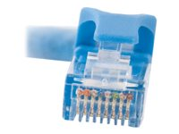 C2G Cat6 Booted Unshielded (UTP) Network Patch Cable - Koblingskabel - RJ-45 (hann) til RJ-45 (hann) - 50 m - UTP - CAT 6 - formstøpt, uten hindringer, flertrådet - blå 83396