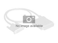 Fujitsu - SAS internt kabelsett - SAS 12Gbit/s - for PRIMERGY RX2530 M4, RX2530 M4 Liquid Cooling, RX2530 M5, RX2530 M5 Liquid Cooling S26361-F1592-L100