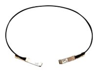 Cisco 40GBASE-CR4 Passive Copper Cable - 40GBase-CR4-direktekoblingskabel - QSFP til QSFP - 50 cm - passiv - for Nexus 93108TC-EX, 93180YC-FX, 9336C-FX2, 9372PX-E QSFP-H40G-CU0-5M=